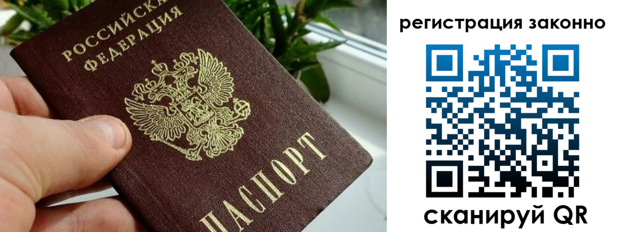 прописка гарантия в Тюмени